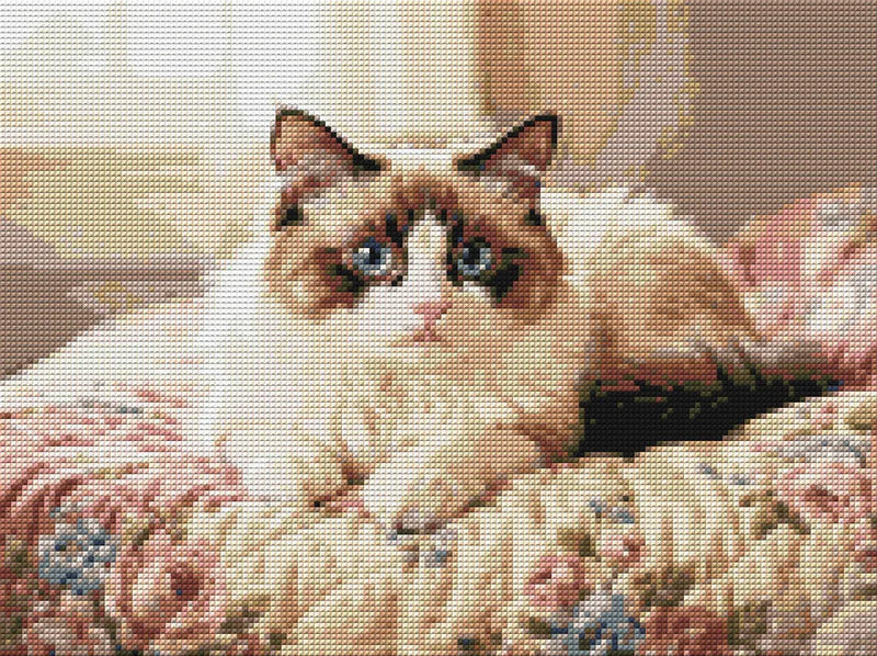 Diamond pattern - Blue-Eyed Cat