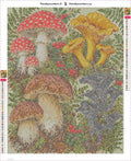 Thumbnail for Diamond painting adhesive canvas preview - Botanical Mushroom Plate