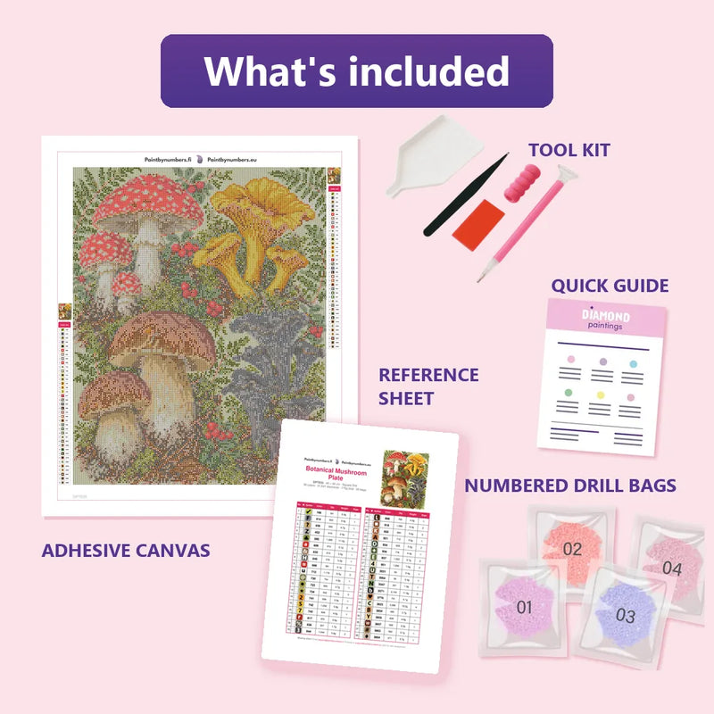 What is included in the Botanical Mushroom Plate diamond painting kit - adhesive canvas, reference sheet, tools and numbered drill bags