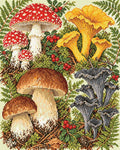Thumbnail for Botanical Mushroom Plate, 40x50 cm diamond painting – finished design preview