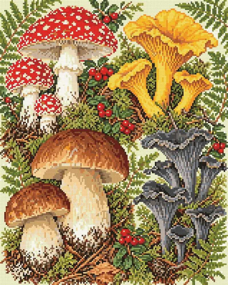Botanical Mushroom Plate, 40x50 cm diamond painting – finished design preview