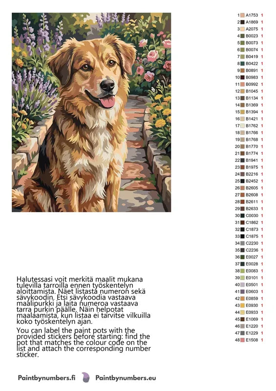 Paint color chart and instructions - Brown Dog in Garden 40x50cm
