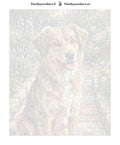 Thumbnail for Paint by numbers numbered canvas - Brown Dog in Garden 40x50cm