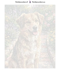 Thumbnail for Paint by numbers numbered canvas - Brown Dog in Garden 40x50cm