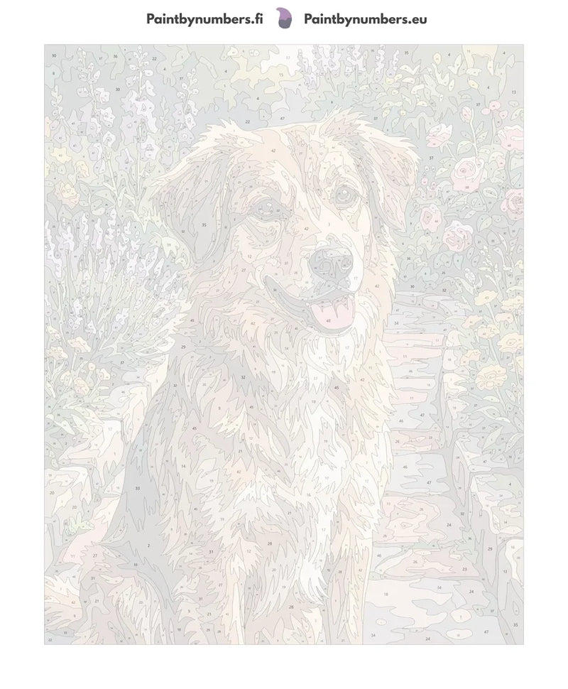 Paint by numbers numbered canvas - Brown Dog in Garden 40x50cm