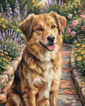 Thumbnail for Brown dog sitting in blooming garden paint by numbers.