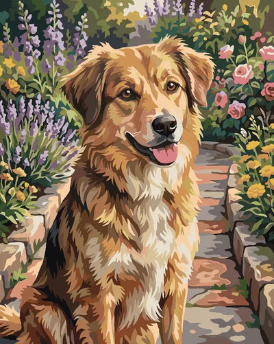 Brown dog sitting in blooming garden paint by numbers.
