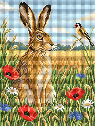 brown hare sitting in a summer meadow with poppies, 30x40 cm diamond painting – finished design preview