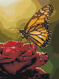 Thumbnail for Diamond Pattern - Butterfly on Rose
