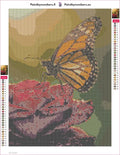 Thumbnail for Butterfly on Rose diamond painting adhesive canvas 30x40cm