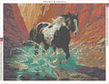 Thumbnail for Canyon Run diamond painting adhesive canvas 80x60cm