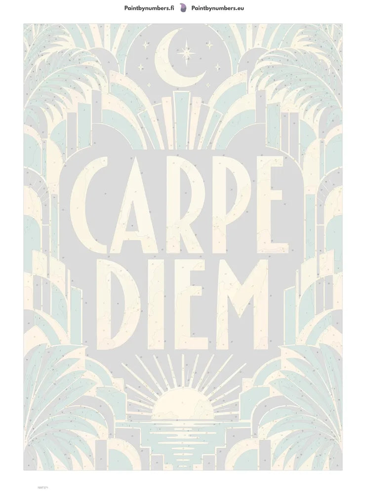 Paint by numbers numbered canvas - Carpe Diem 50x70cm