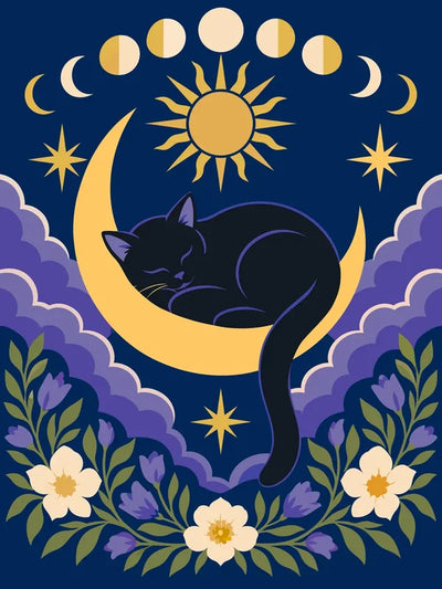 Black cat on crescent moon with flowers paint by numbers