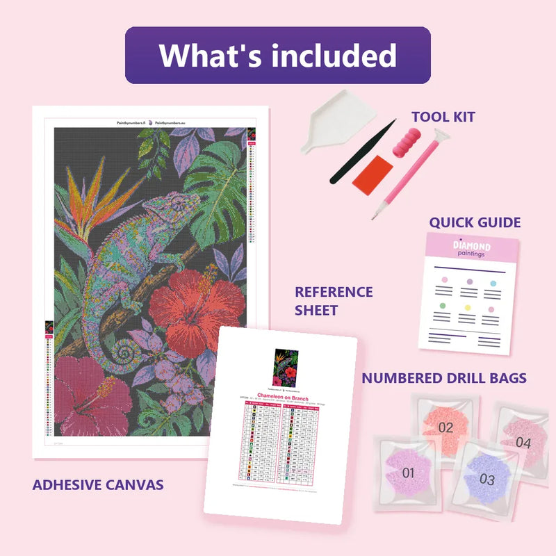 What is included in the Chameleon on Branch diamond painting kit - adhesive canvas, reference sheet, tools and numbered drill bags