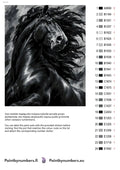 Thumbnail for Paint color chart and instructions - Charcoal Stallion 40x50cm