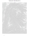 Thumbnail for Paint by numbers numbered canvas - Charcoal Stallion 40x50cm