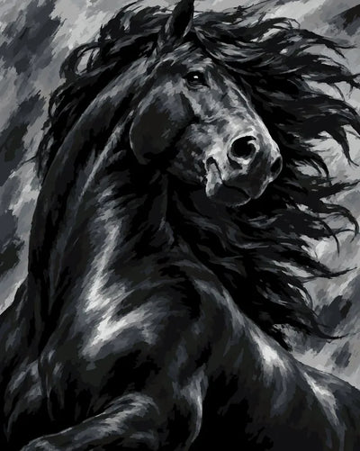 Black horse portrait paint by numbers. Flowing mane, gray background.
