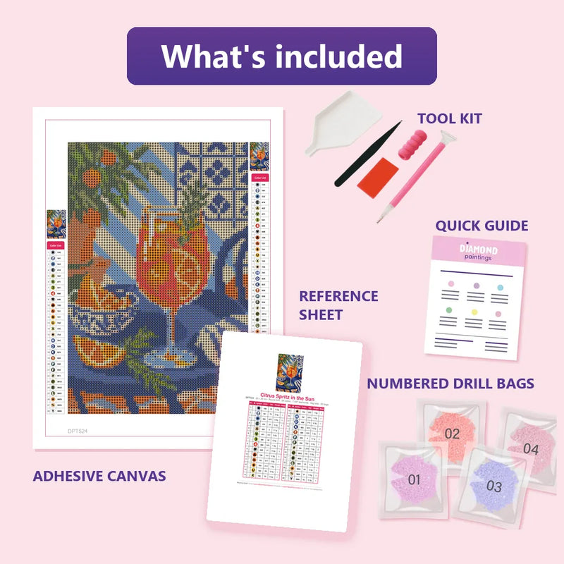 What is included in the Citrus Spritz in the Sun diamond painting kit - adhesive canvas, reference sheet, tools and numbered drill bags
