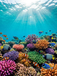 Thumbnail for Diamond painting Coral Reef Life