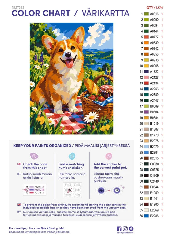 Paint color chart and instructions - Corgi Picnic 30x40cm