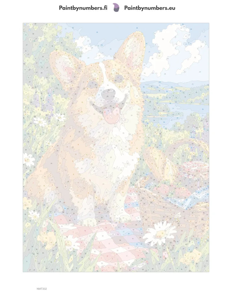 Paint by numbers numbered canvas - Corgi Picnic 30x40cm