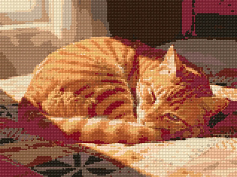 Diamond pattern - Cozy Ginger Cat