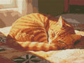 Thumbnail for Diamond pattern - Cozy Ginger Cat