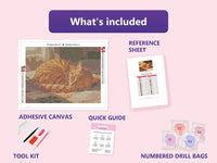 Thumbnail for Cozy Ginger Cat 40x30cm diamond painting kit contents: adhesive canvas, color chart, tools and diamond bags
