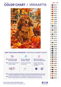 Thumbnail for Paint color chart and instructions - Dachshund in the Leaves 30x40cm