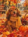 Thumbnail for Dachshund in autumn park with pumpkin, paint by numbers.