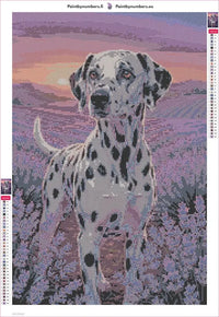 Thumbnail for Dalmatian in Lavender diamond painting adhesive canvas 40x60cm