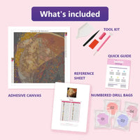 Thumbnail for Danae 50x50cm diamond painting kit contents: adhesive canvas, color chart, tools and diamond bags