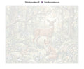 Thumbnail for Numbered canvas - Deer Fox Rabbit Birds 50x40cm