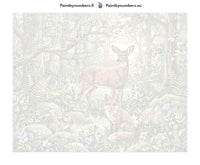 Thumbnail for Numbered canvas - Deer Fox Rabbit Birds 50x40cm