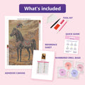 Thumbnail for What is included in the Desert Horse diamond painting kit - adhesive canvas, reference sheet, tools and numbered drill bags