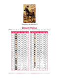 Thumbnail for DMC color chart for Desert Horse diamond painting - 35 colors