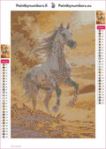 Thumbnail for Desert Stallion diamond painting adhesive canvas 20x30cm