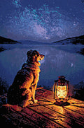 Thumbnail for Diamond pattern - Starlit Canine Reflection