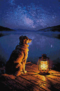Thumbnail for Diamond pattern - Starlit Canine Reflection