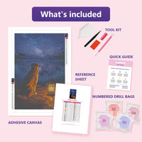 Thumbnail for Dog by Lantern 40x60cm diamond painting kit contents: adhesive canvas, color chart, tools and diamond bags