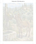 Thumbnail for Paint by numbers numbered canvas - Donkey at Well 40x50cm