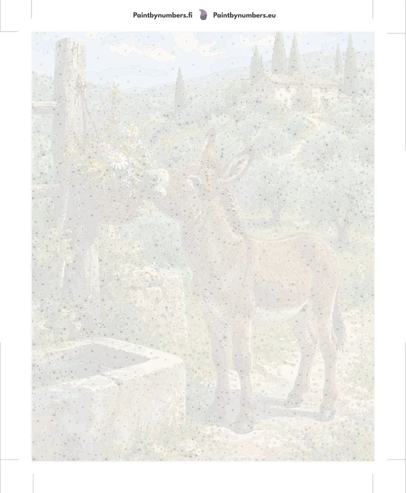 Paint by numbers numbered canvas - Donkey at Well 40x50cm