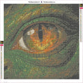Thumbnail for Dragon Eye diamond painting adhesive canvas 50x50cm