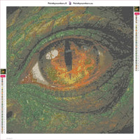 Thumbnail for Dragon Eye diamond painting adhesive canvas 50x50cm