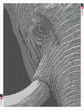 Thumbnail for Diamond painting adhesive canvas preview - Elephant Eye and Wrinkled Skin