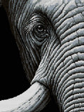 Thumbnail for black-and-white close-up of an elephant eye and wrinkled skin, 60x80 cm diamond painting – full design preview