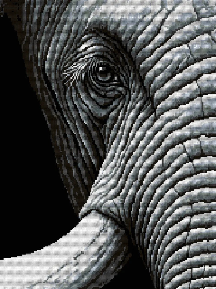 black-and-white close-up of an elephant eye and wrinkled skin, 60x80 cm diamond painting – full design preview