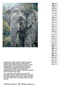 Thumbnail for Color chart and instructions - Elephant in Forest 2 40x50cm