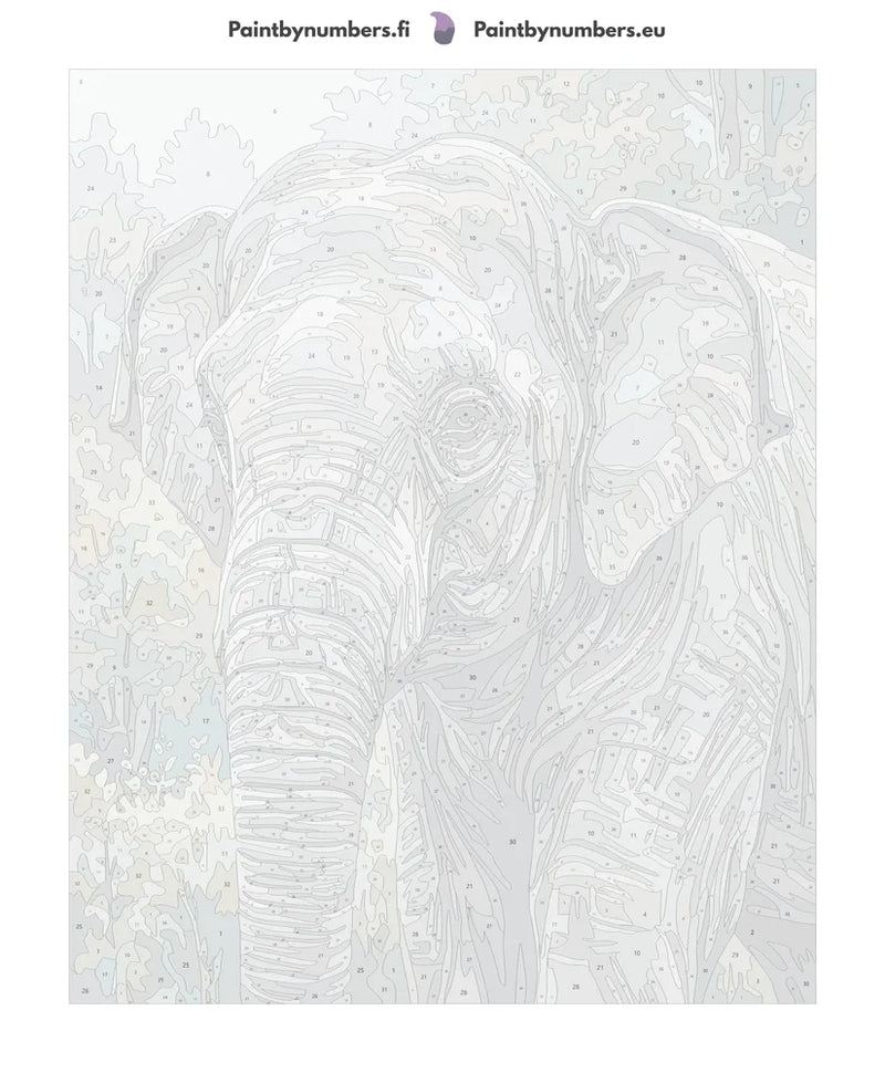 Numbered canvas - Elephant in Forest 2 40x50cm