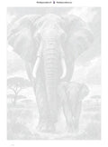 Thumbnail for Paint by numbers numbered canvas - Elephant in Ink 50x70cm